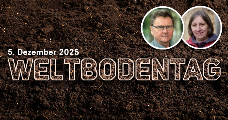  Lightness World_Adobe Stock (KI-generiert)