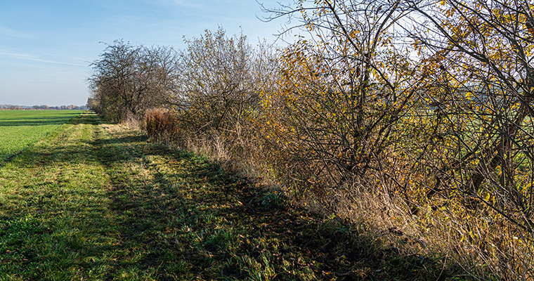 ©André Künzelmann / UFZ