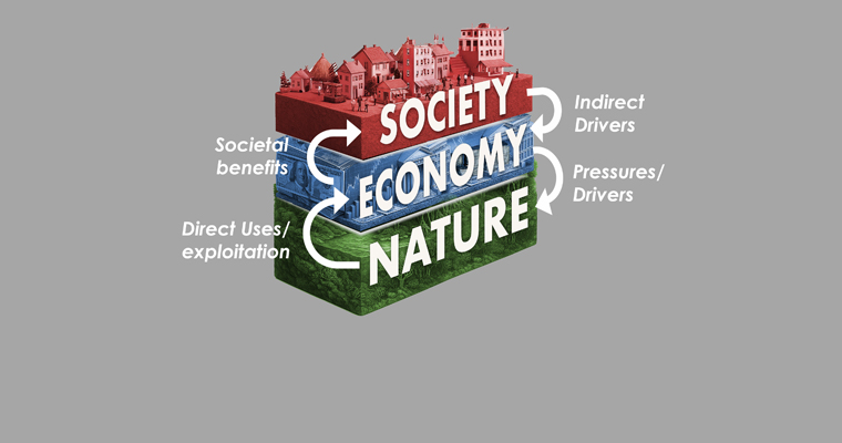 The new systems model of nature, economy and society and feedback loops between them. ©CORDIO East Africa