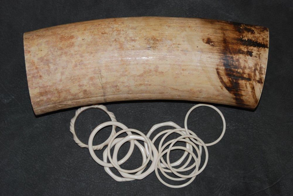 Elfenbeinschmuck; Foto: B&ouml;hmer, BfN