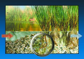 Schnitt durch Pflanzenkl&auml;ranlage