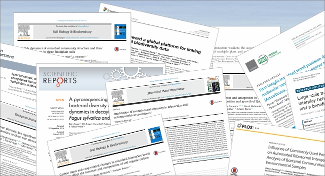 Publications Dept. BOOEK, Graphic: Regina Stoltenburg/UFZ