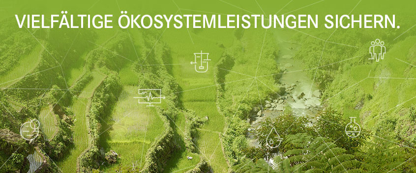 Vielf&auml;ltige &Ouml;kosystemleistungen sichern.