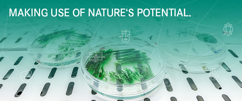 MAKING USE OF NATURE&rsquo;S POTENTIAL