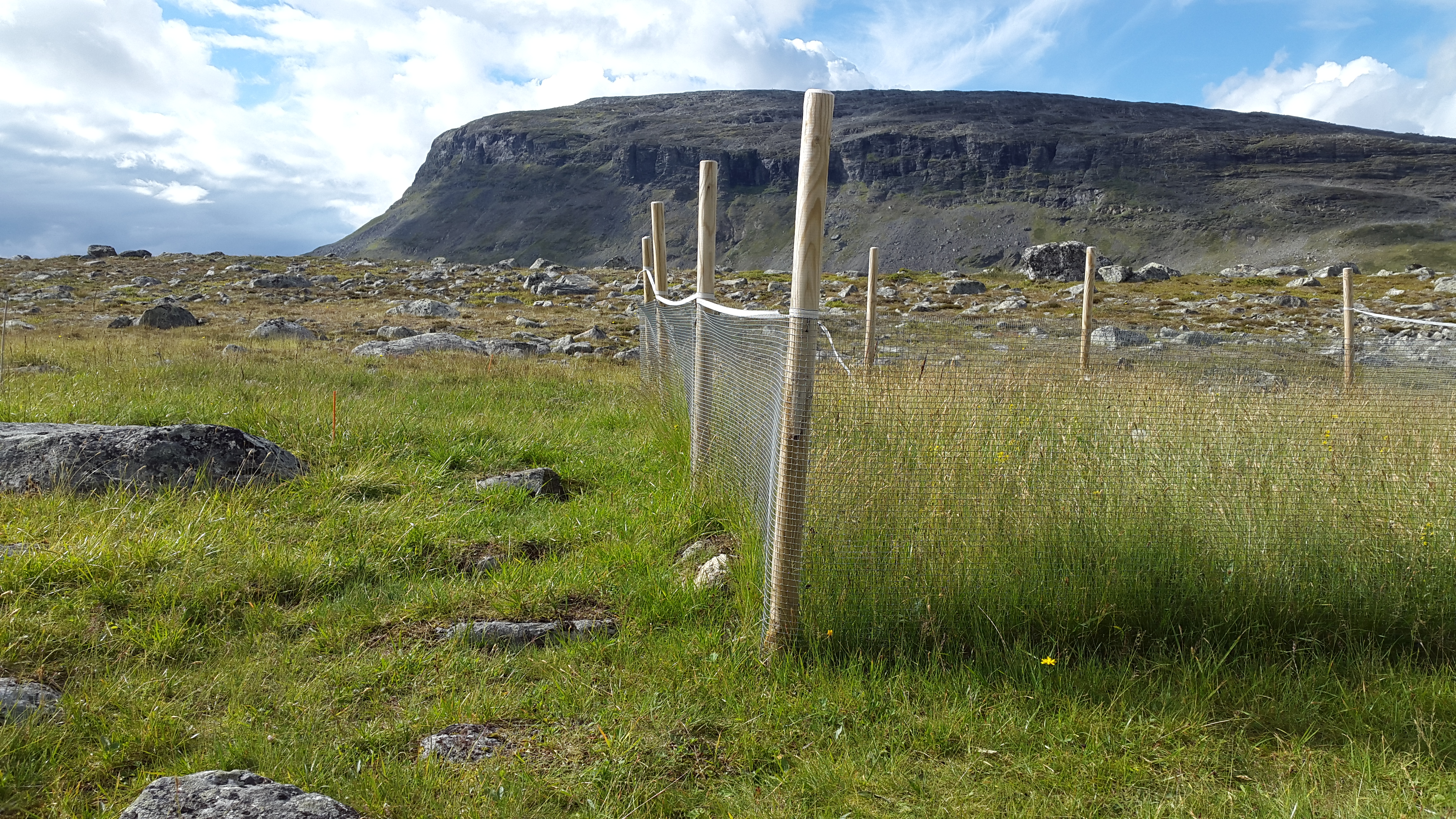 Grazer exclosures at Nutrient Network site in Kilpisj&auml;rvi, Finland