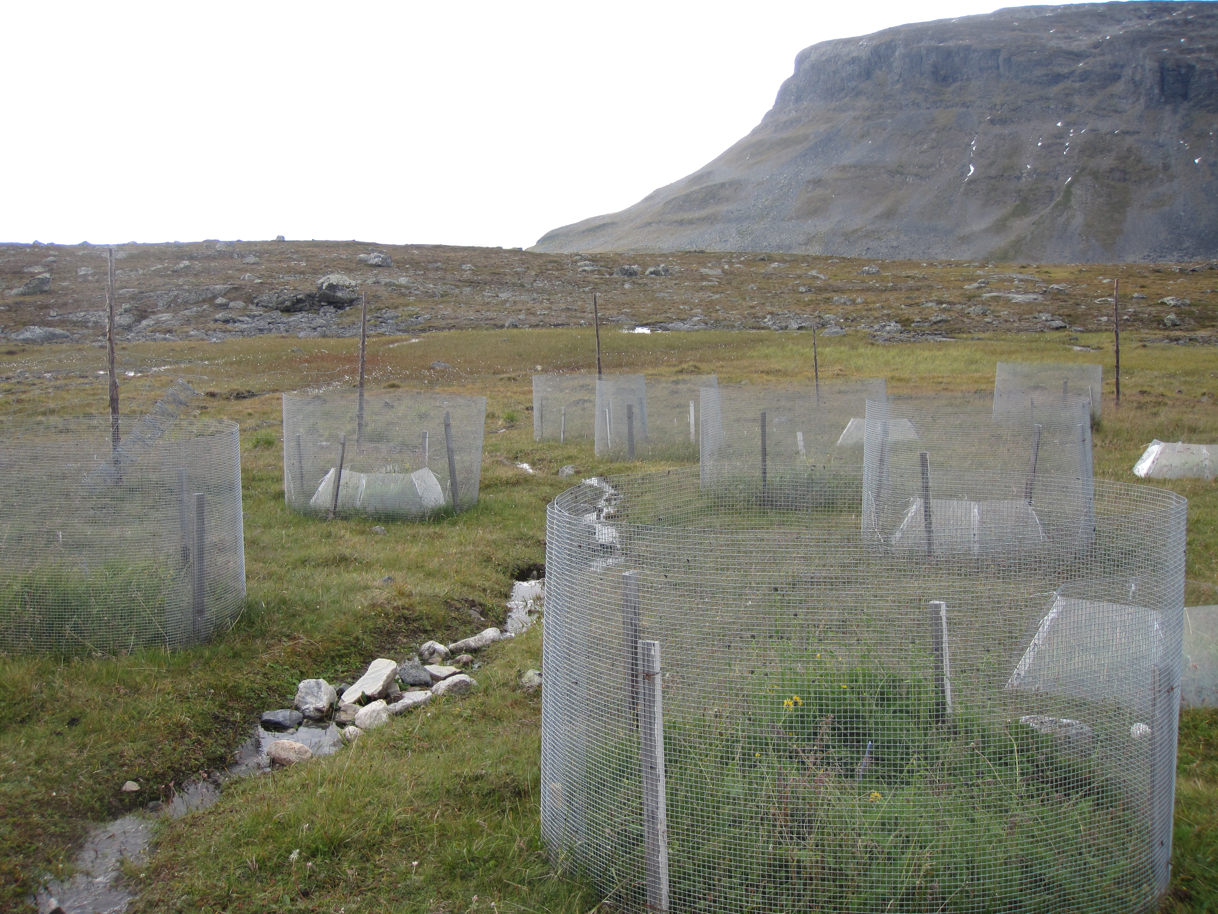 Experimental site in Kilpisj&auml;rvi, Northern Finland