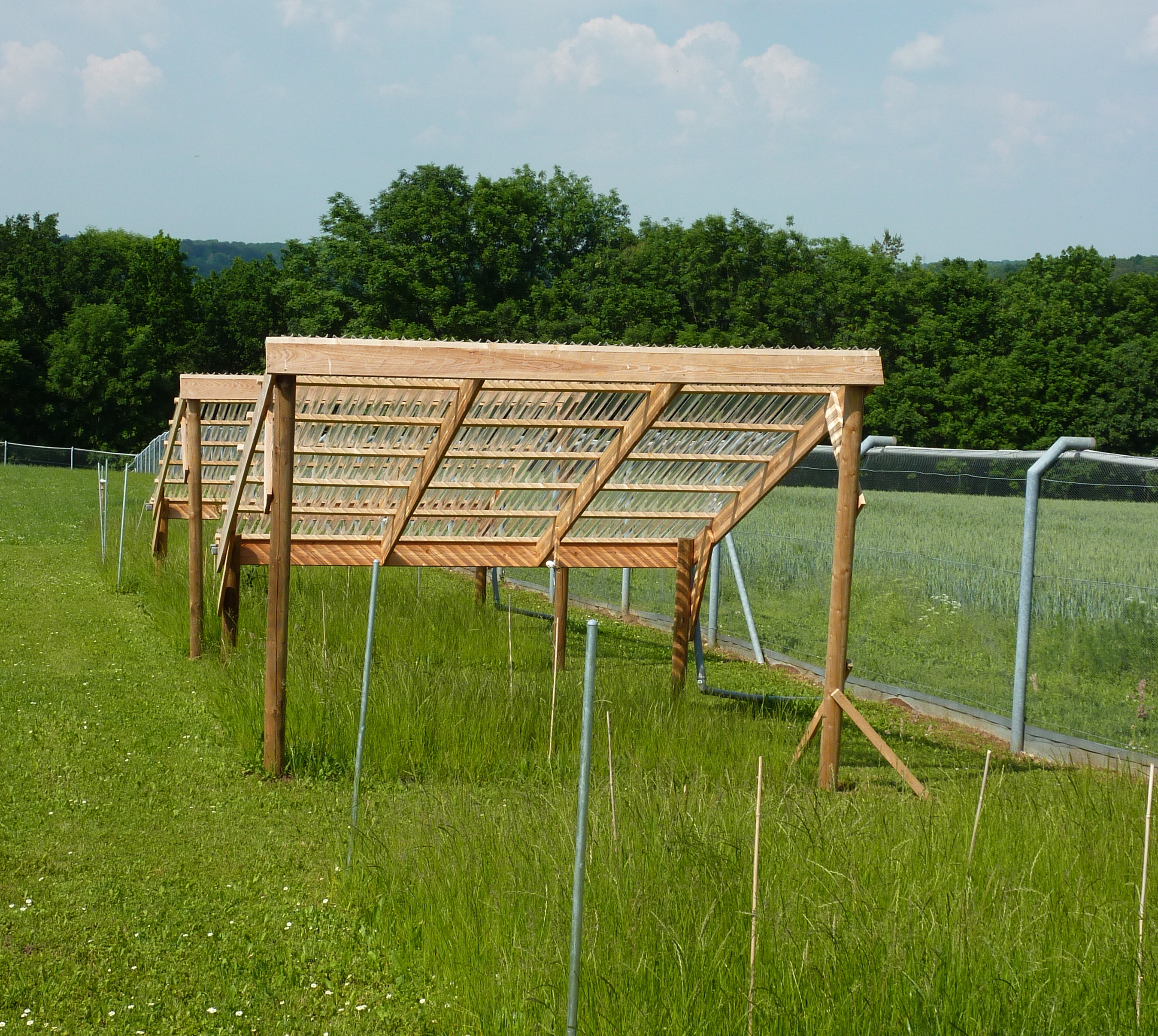 Jena DroughtNet (Photo: Christiane Roscher)