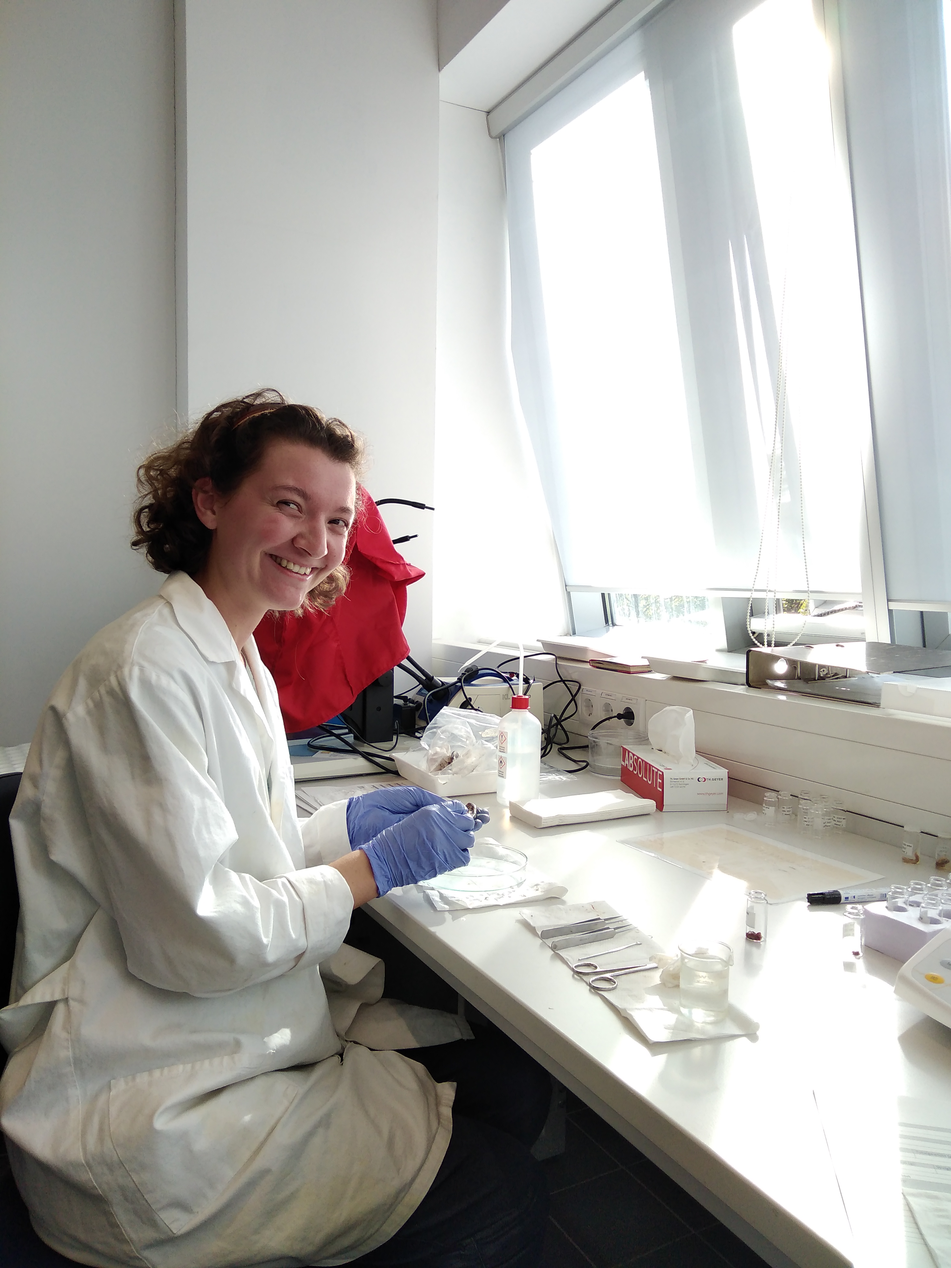 Franz&ouml;sische F&Ouml;Jlerin