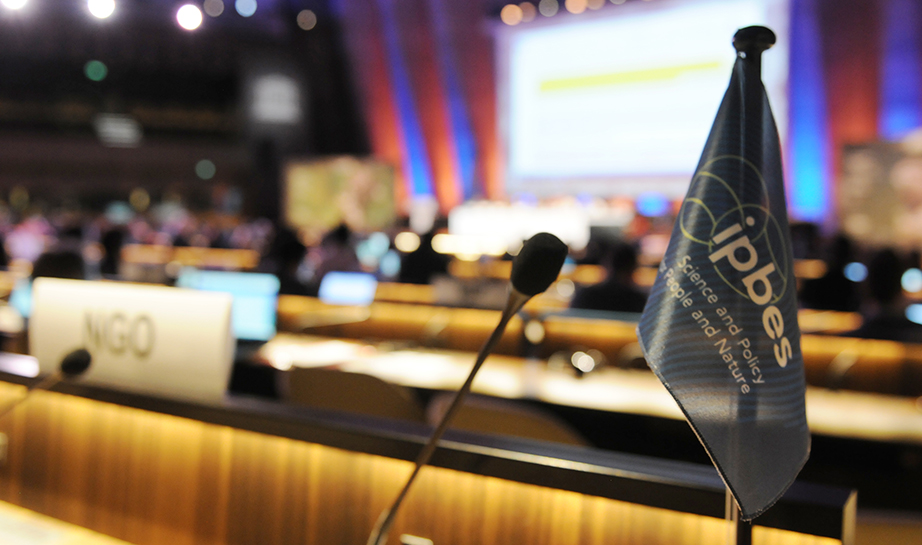 Banner IPBES7 &copy;IISD_Diego_Noguera_DSC_3999