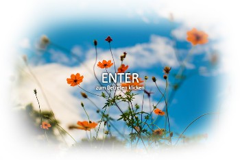 Simulationssoftware SINAS