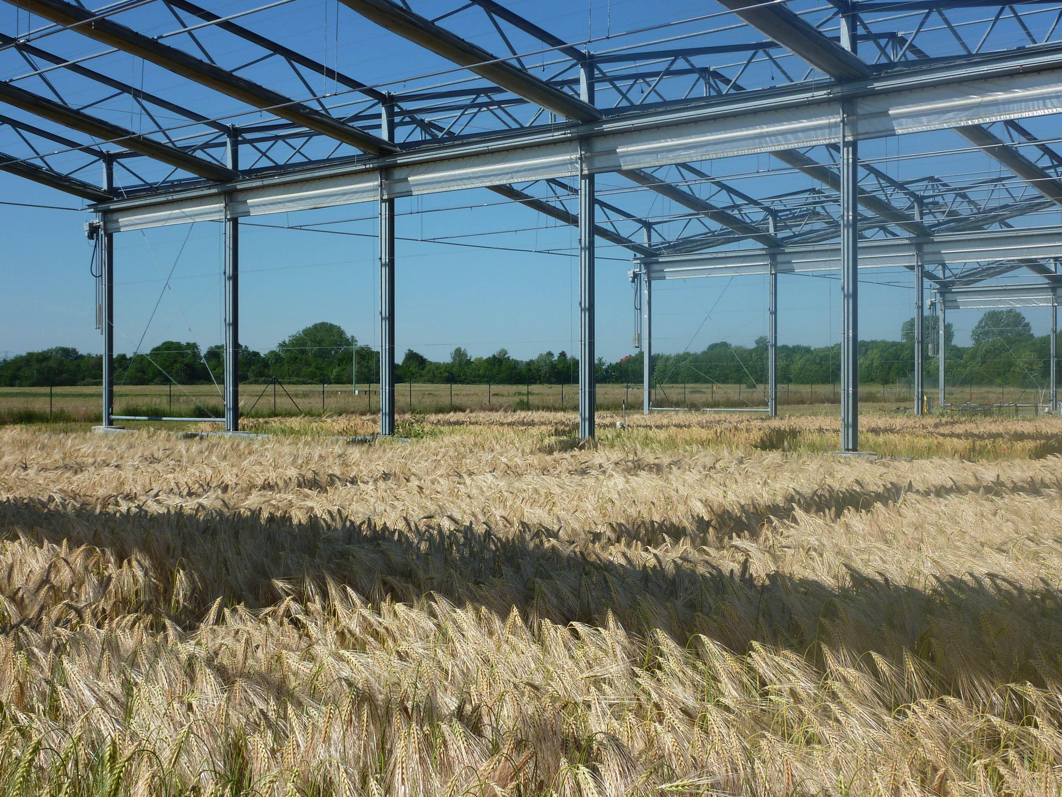 Conventional farming in the GCEF (Photo: Christiane Roscher)