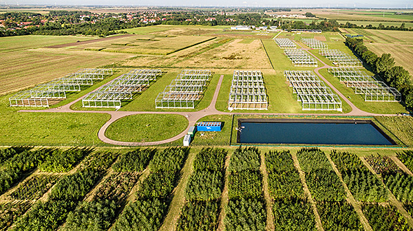 Bad Lauchst&auml;dt. Foto: Andr&eacute; K&uuml;nzelmann