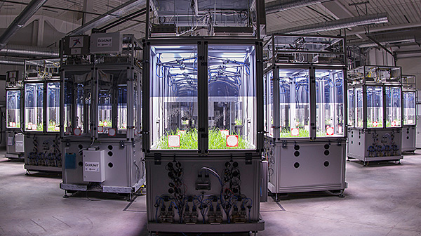 iDiv Ecotrone in Bad Lauchst&auml;dt. Foto: Tilo Arnhold