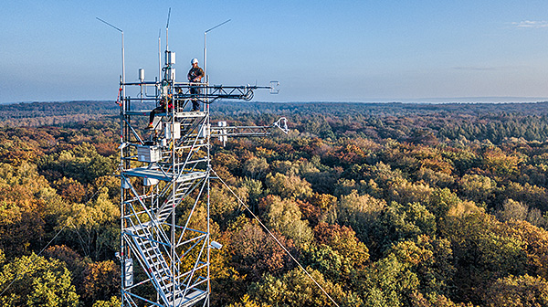 Messturm Hohes Holz, Sachsen-Anhalt. Foto: Andr&eacute; K&uuml;nzelmann/UFZ