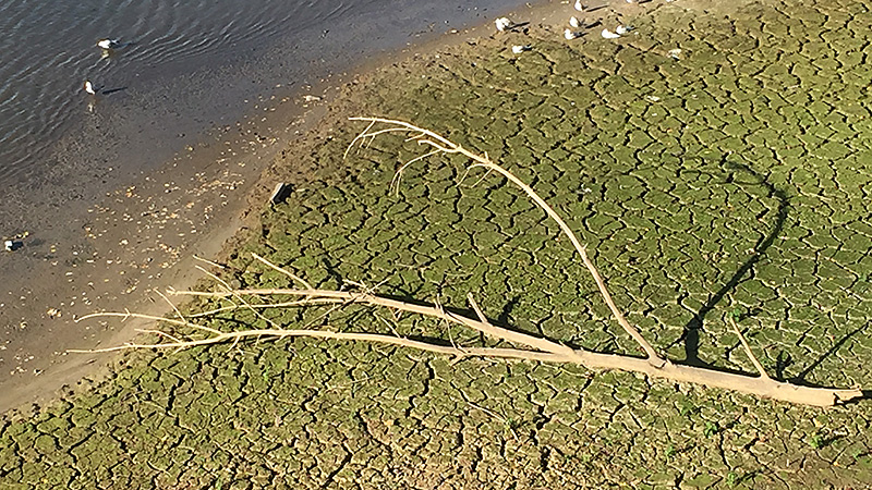 Rheinufer in D&uuml;sseldorf.Der niedrige Wasserstand aus dem Herbst 2018.
Foto: Frank Menikheim, Oktober 2018.