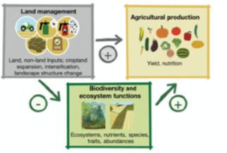 Biodiversity&ndash;Production Mutualism (BPM)