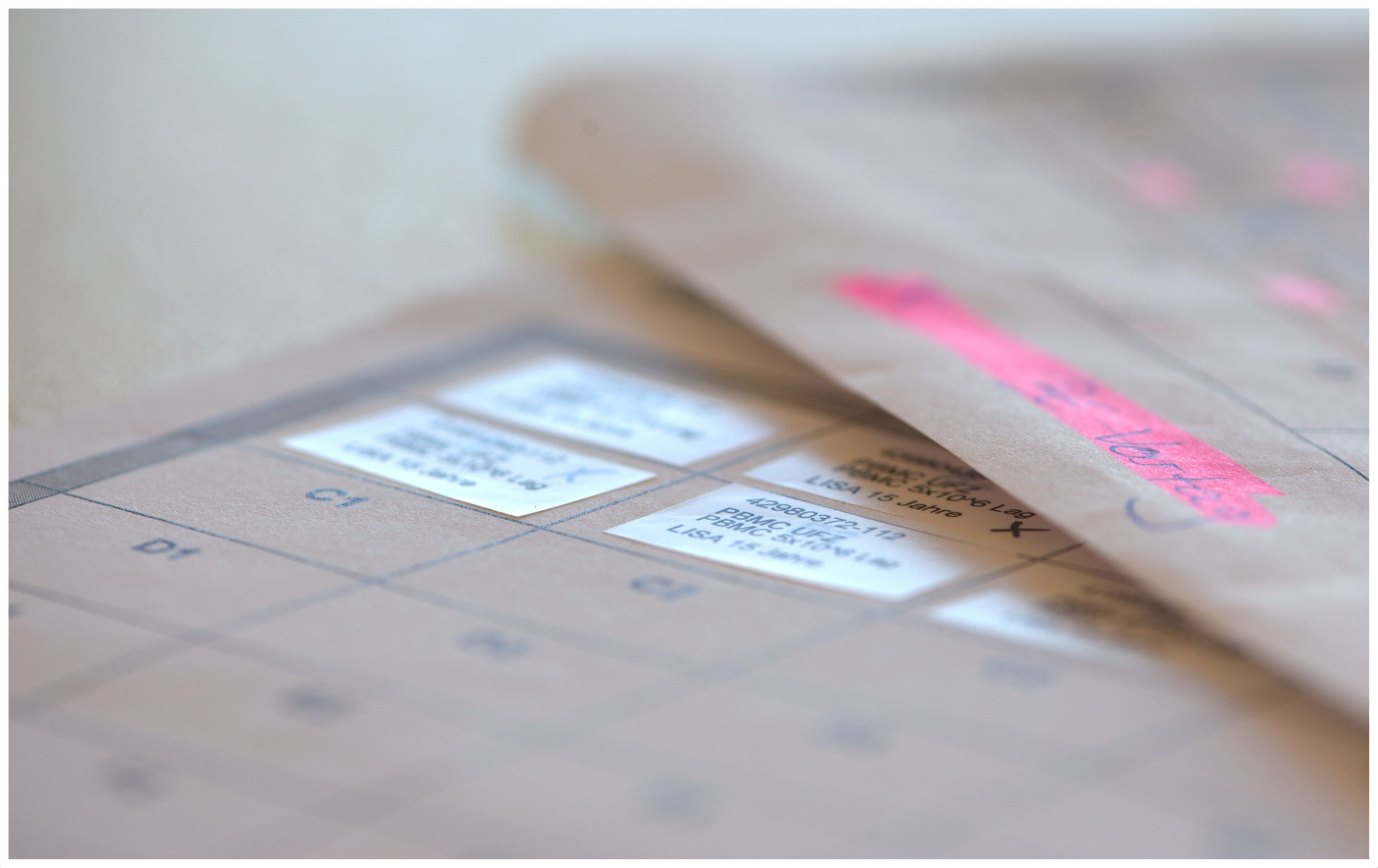 Foto: Kristin Junge/UFZ