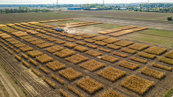 statischer D&uuml;ngungsversuch
