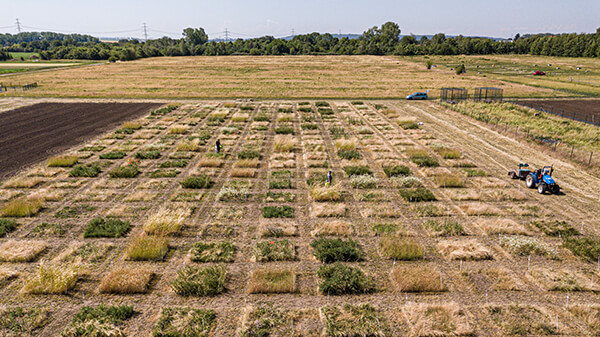 Priorit&auml;tseffekte