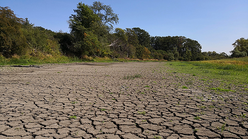 Alte Saale zwischen Gro&szlig; Rosenburg und M&uuml;ndung der Saale in die Elbe in Sachsen-Anhalt.
Foto: Thomas Sockel, August 2018.