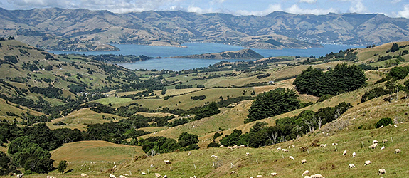 Project: "Land-based social-ecological solutions for multifunctional landscapes"
Photo: Michael Beckmann/UFZ