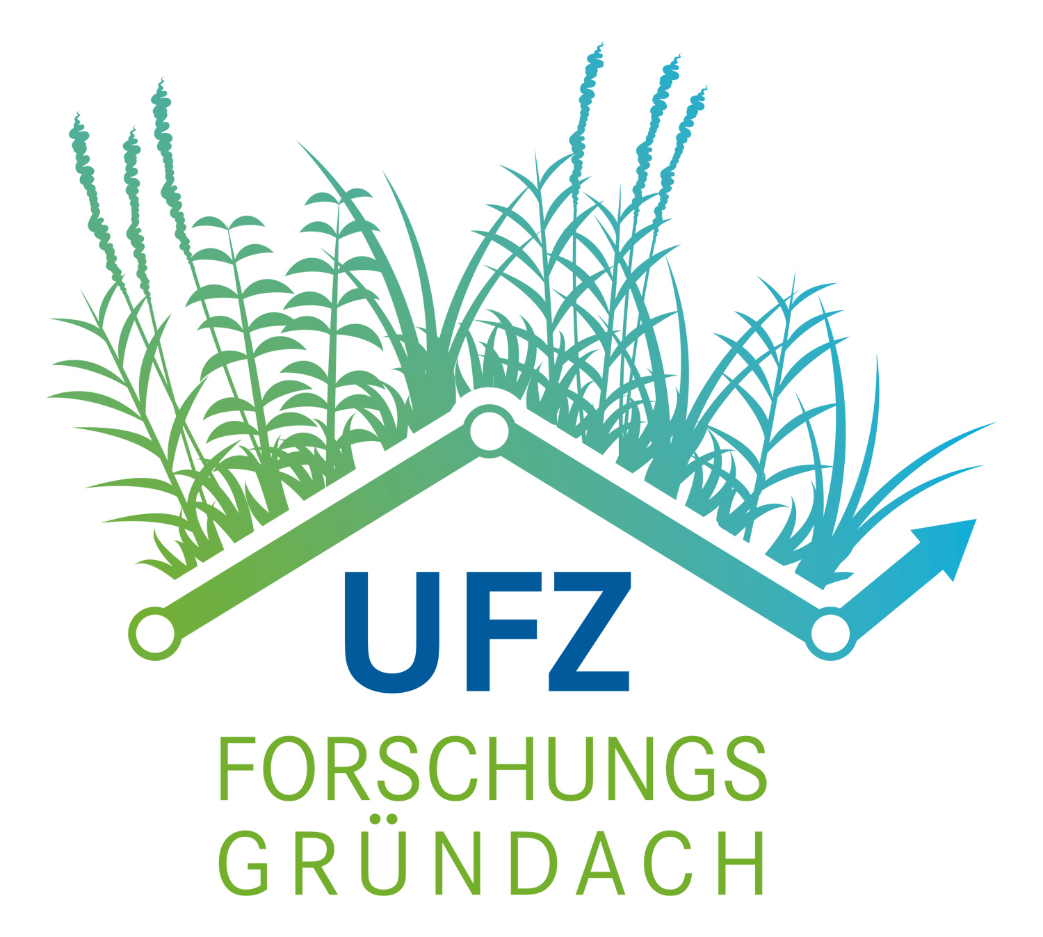 Logo Forschungsgr&uuml;ndach