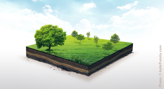 Quelle: &copy; Adik/Fotolia.com