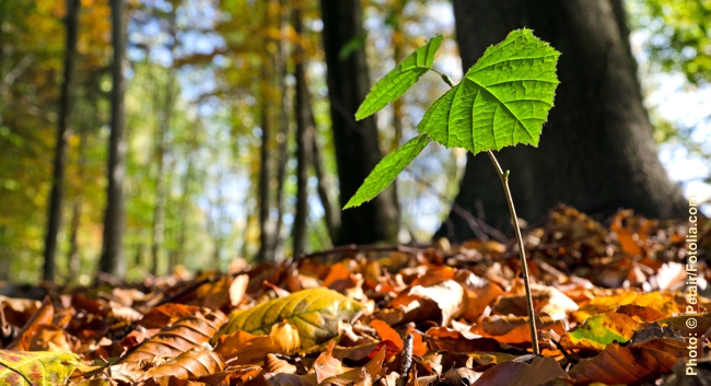 Foto: &copy; Petair/Fotolia.com