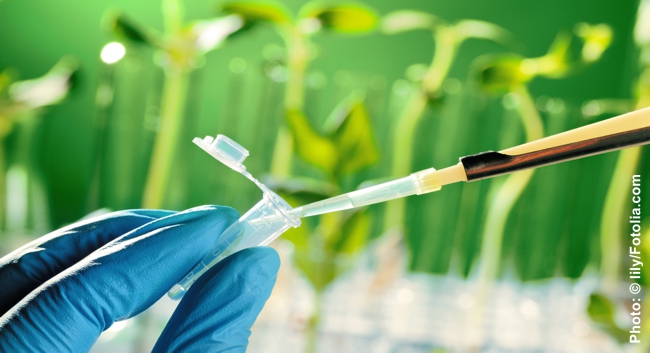 Foto: &copy; lily/Fotolia.com