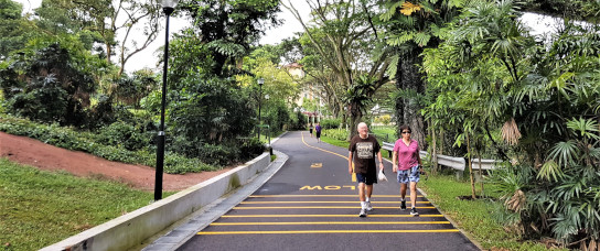 Nature exposure as an equitable, global public health intervention tool &ndash;Volkswagenstiftung Symposium