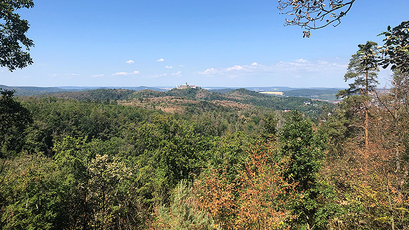 Blick auf die Wartburg in Th&uuml;ringen. Massive Trockensch&auml;den rund um Eisenach, v.a. bei Hainbuche, Buche und Eiche.
Foto: Ansgar Pape, August 2022.