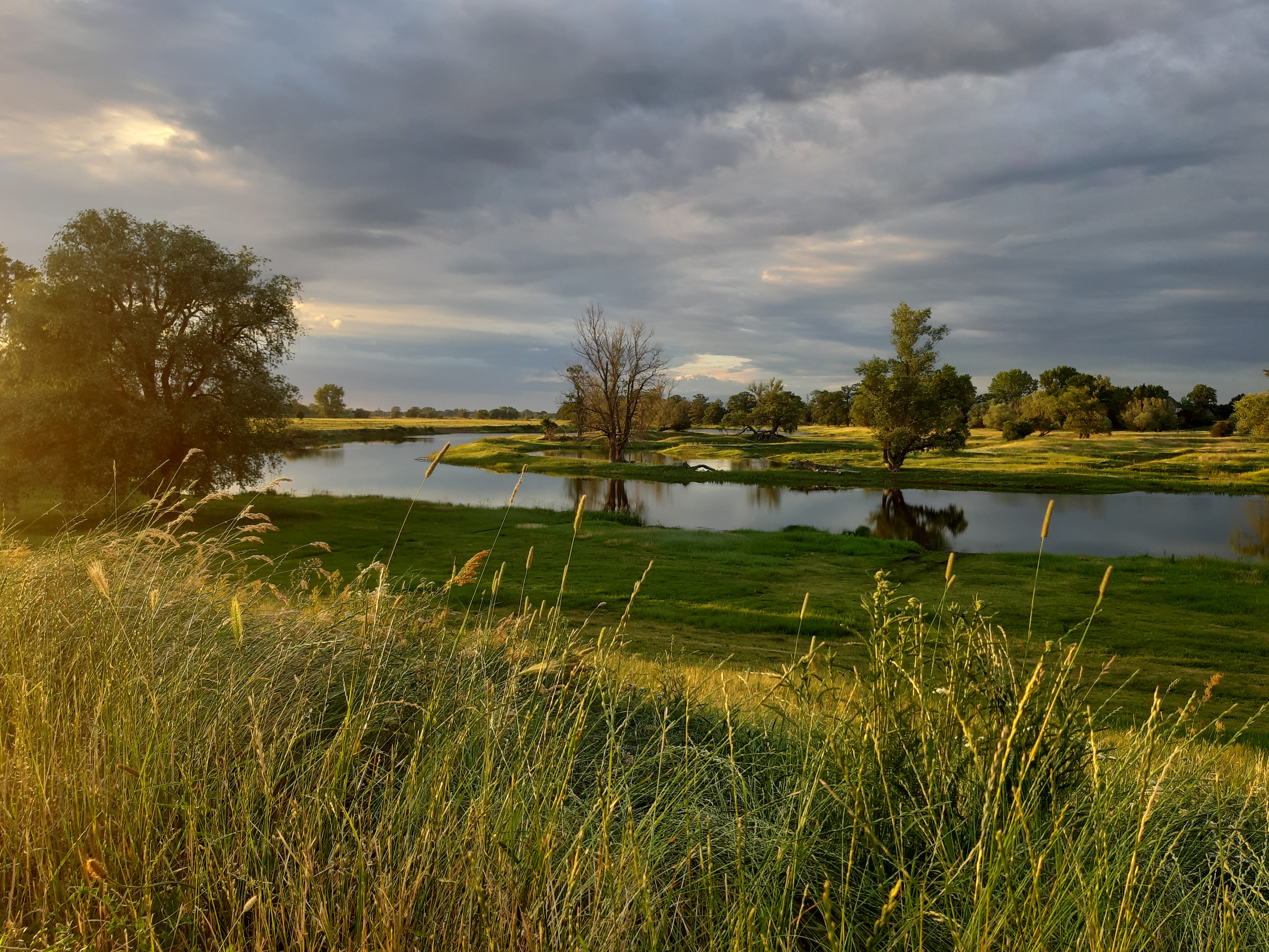 Elbe-Altarm in Beuster (&copy; Sophie Geyer)