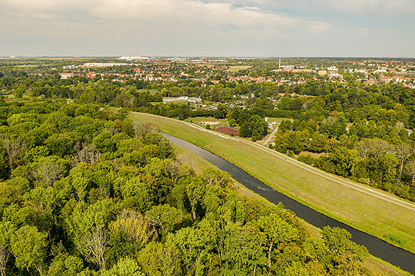 Beim Bau der Neuen Luppe in den 1930er-Jahren zum Hochwasserschutz wurden zahlreiche Nebenarme der Wei&szlig;en Elster und der Luppe unterbrochen. So wurde die Wasserzufuhr des Auwaldes weitgehend gekappt. Foto: Andr&eacute; K&uuml;nzelmann / UFZ