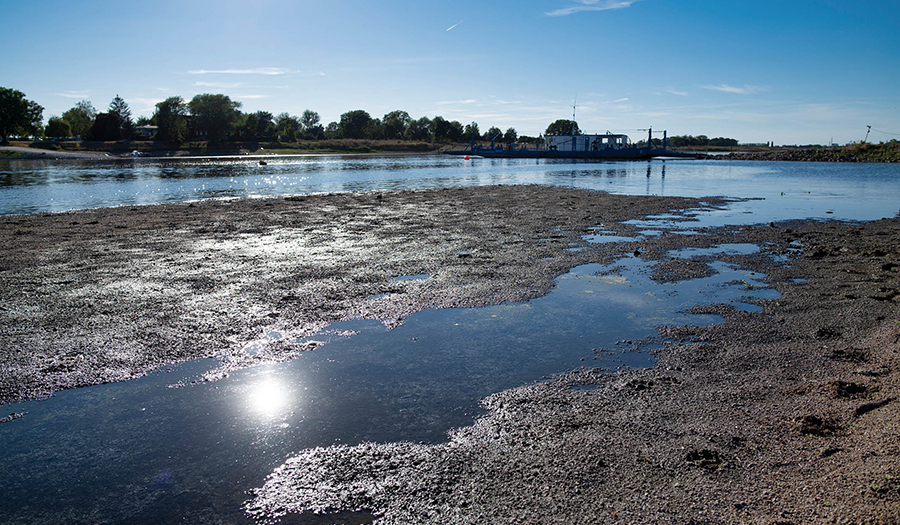 Niedrigwasser Elbe bei Barby &copy; Andr&eacute; Kuenzelmann / UFZ