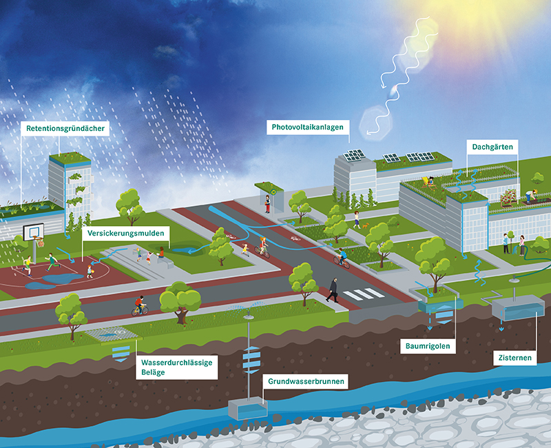 Grafik Schwammstadt &copy;Artkolchose