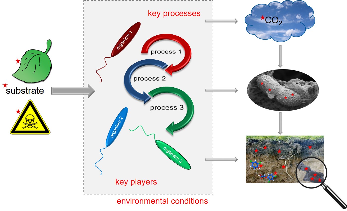 Soil and Sediment Experiments
