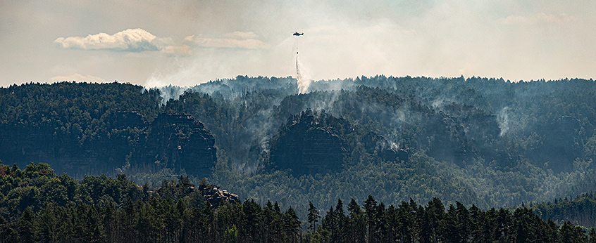 Wildfires in the Saxon Switzerland, Germany 2022. Photo: Andr&eacute; K&uuml;nzelmann/UFZ