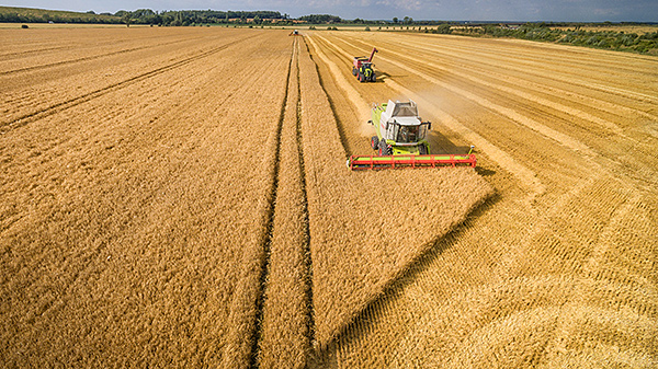 M&auml;drescher auf einem Getreidefeld bei Leipzig. Foto: Andr&eacute; K&uuml;nzelmann/UFZ