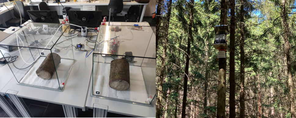 Messkammerversuch & Probenahmesystem