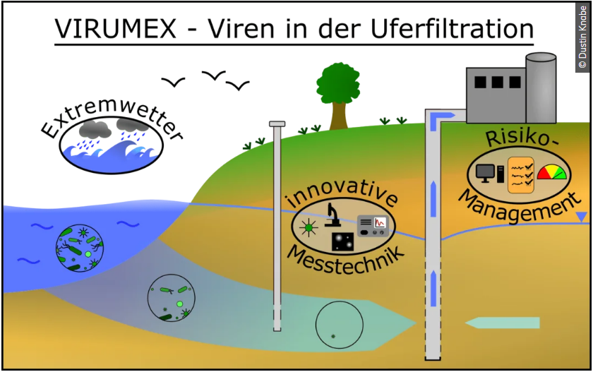 Concept Virumex