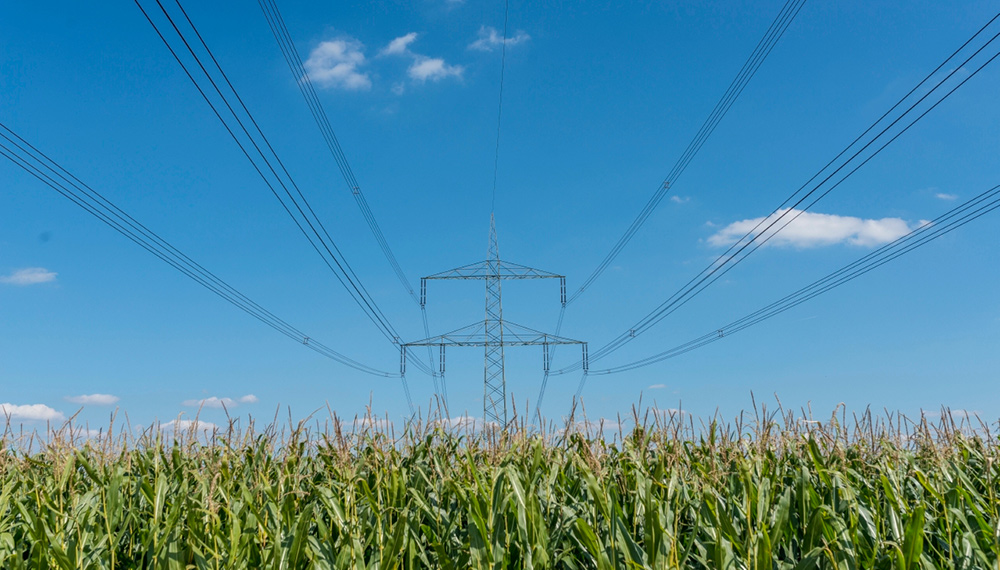 Power Transmission on cornfield. Source: A. K&uuml;nzelmann / UFZ