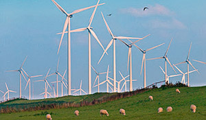 Wind&auml;der in Landschaft. Quelle: UFZ