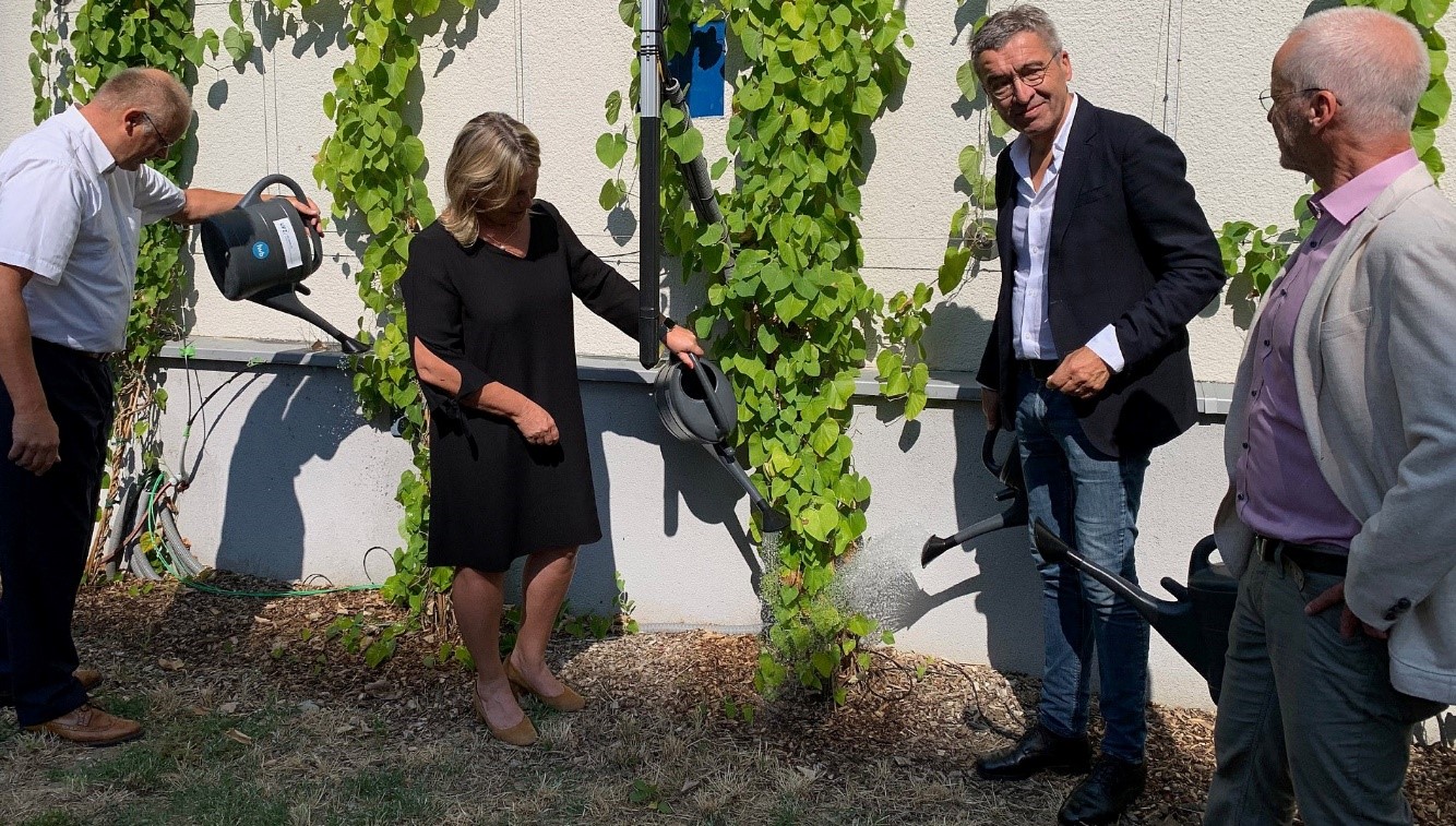 Einweihung der Gr&uuml;nfassaden im Projekt &bdquo;Lebendige W&auml;nde&ldquo;