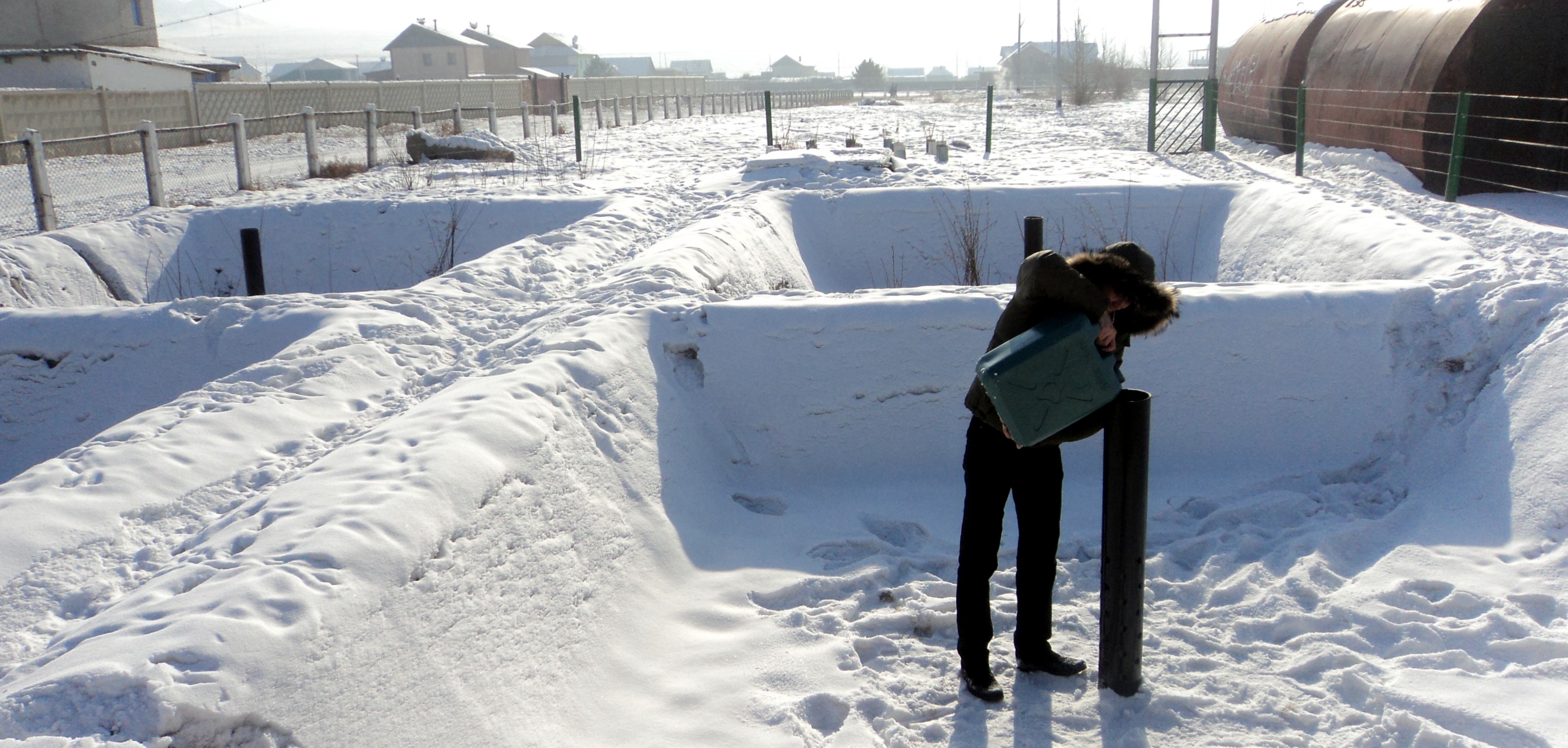 Wastewater treatment plant with integrated wood production (Mongolia)