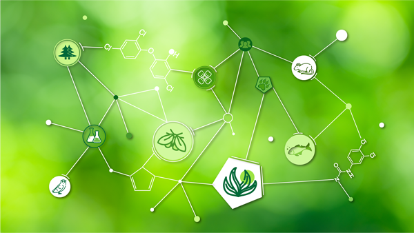 Data Science for Chem2Bdiv