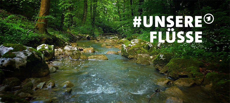 Flusslauf durch Laubbald. ARD-Mitmachaktion Unsere Fl&uuml;sse