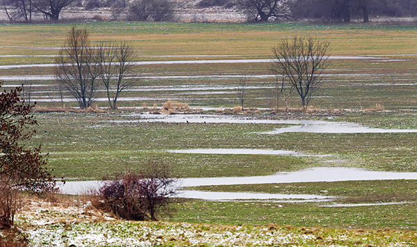 Archivbild:  Hochwassersituation Januar 2011, Flutsituation am Bode-Selke Zusammenfluss. Foto: Andr&eacute; K&uuml;nzelmann/UFZ