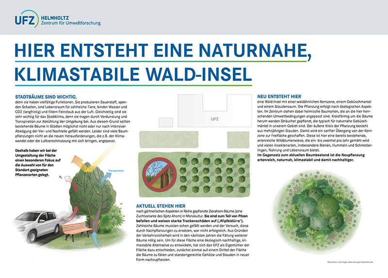 Schematische Darstellung zur Entstehung von naturnahen, klimastabilen Wald-Inseln am Standort Halle. Quelle:UFZ