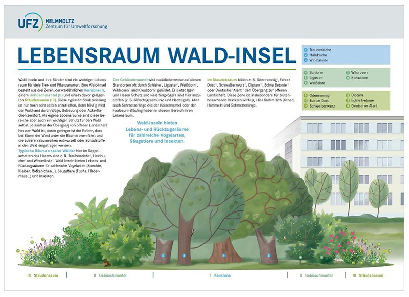 Schematische Abbildung zum Aufbau einer Wald-Insel.  Quelle: UFZ