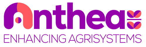 Das Logo des Projekts Anthea